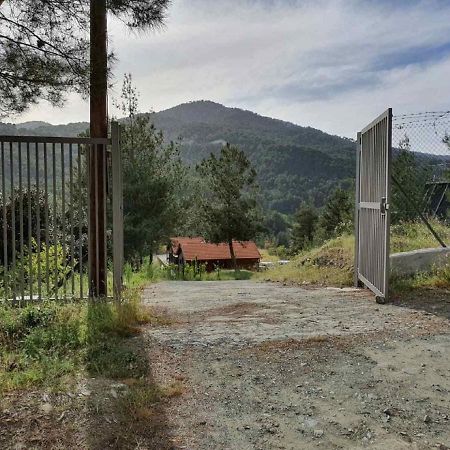 Kato Amiandos The Cosy Mountain Cabin With Stunning Views Near Troodos מראה חיצוני תמונה