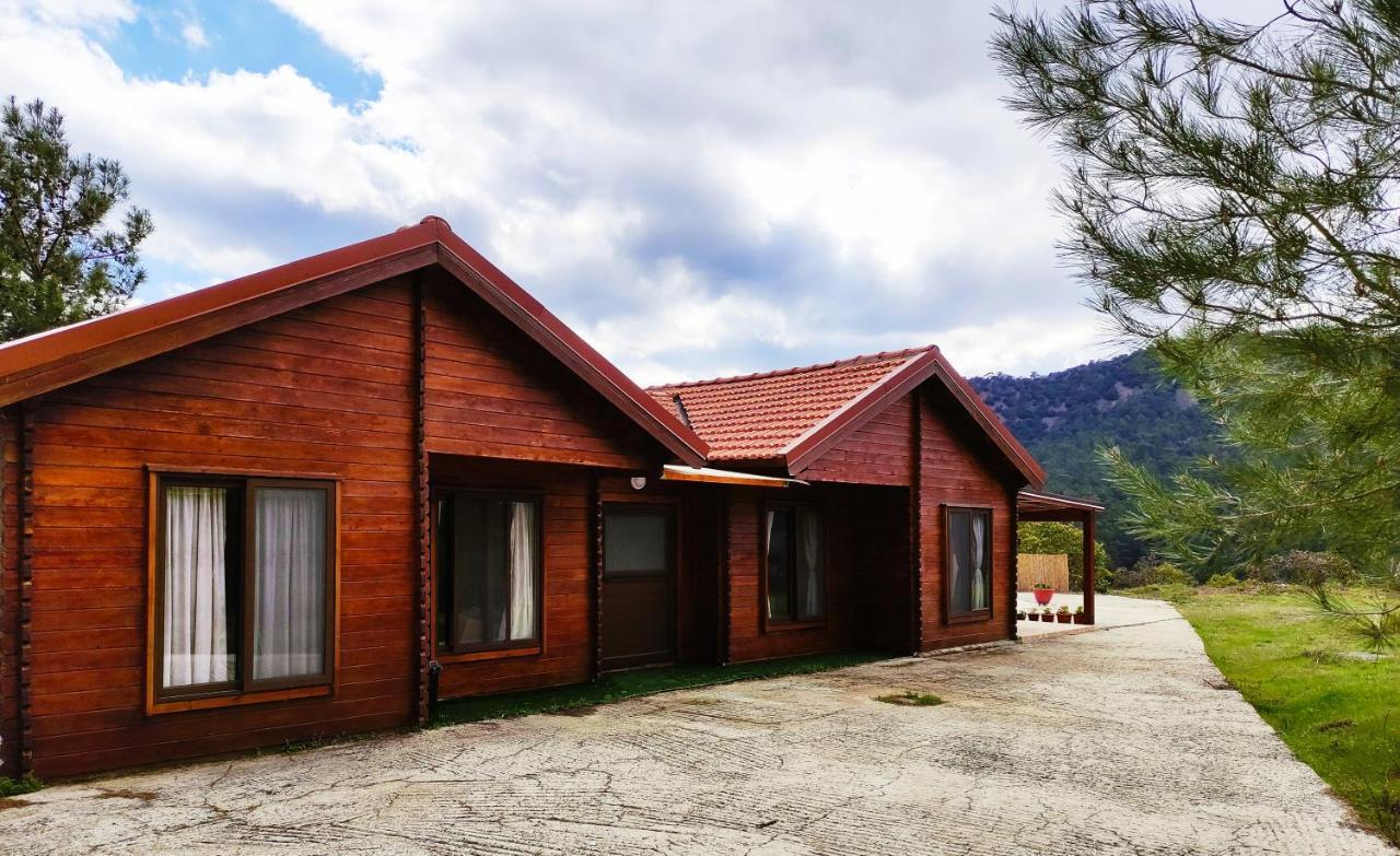 Kato Amiandos The Cosy Mountain Cabin With Stunning Views Near Troodos מראה חיצוני תמונה