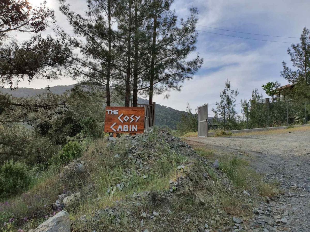Kato Amiandos The Cosy Mountain Cabin With Stunning Views Near Troodos מראה חיצוני תמונה