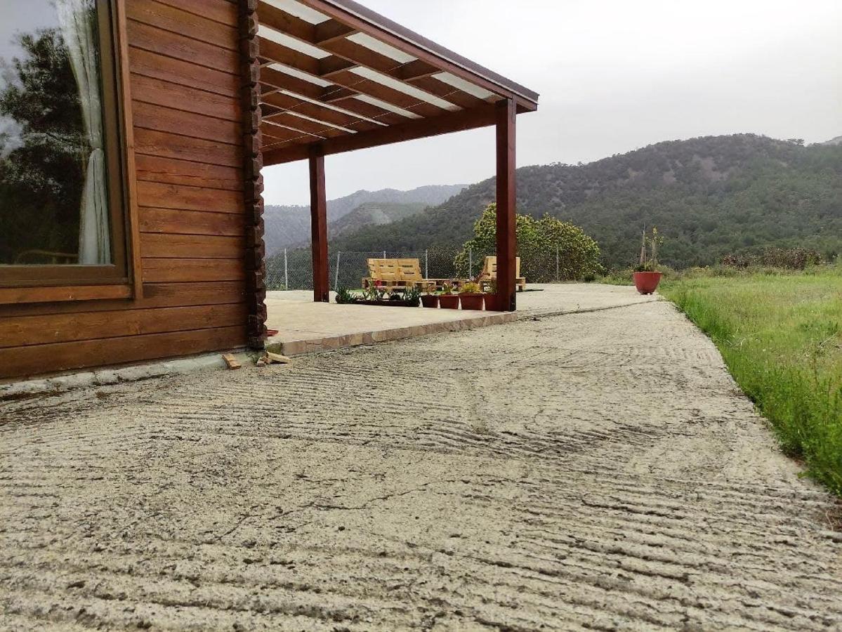 Kato Amiandos The Cosy Mountain Cabin With Stunning Views Near Troodos מראה חיצוני תמונה